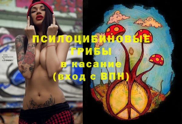 прущие грибы Каменка