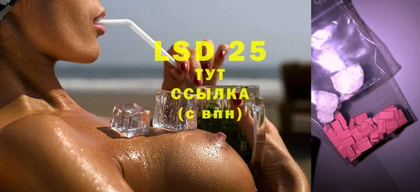 прущие грибы Каменка