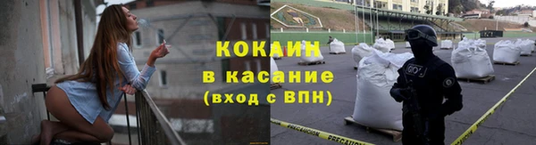 прущие грибы Каменка