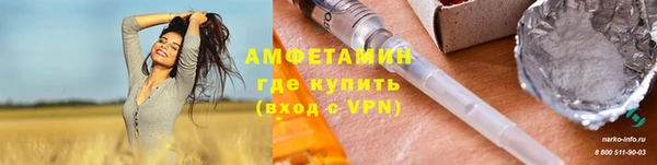 прущие грибы Каменка