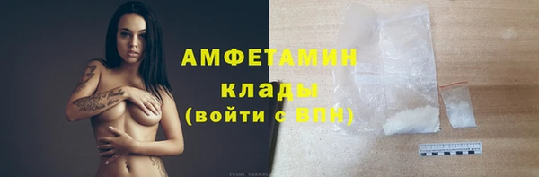 прущие грибы Каменка