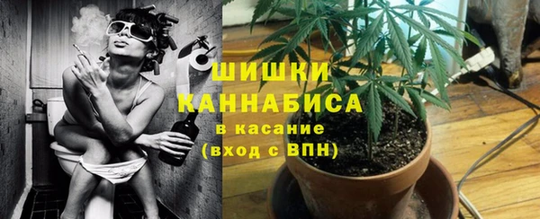 прущие грибы Каменка