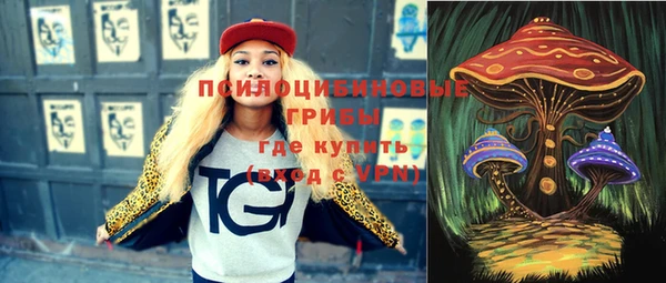 прущие грибы Каменка