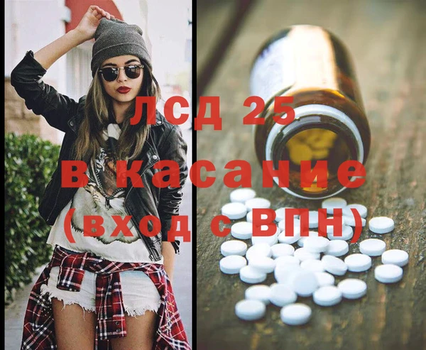 прущие грибы Каменка