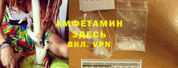 прущие грибы Каменка
