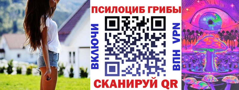 Галлюциногенные грибы Psilocybine cubensis  Купить закладки  Беслан 